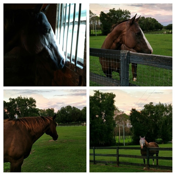 Meet your Posher, Tina - Picture 6 of 6